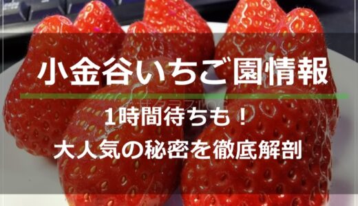 【2023年最新】小金谷いちご園情報～1時間待ちの大人気の秘密を徹底解剖